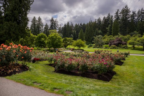 Flower Garden Landscaping in South Jordan