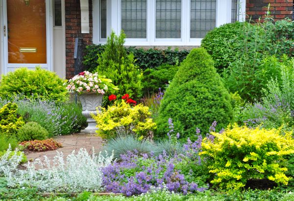Front Yard Renovation