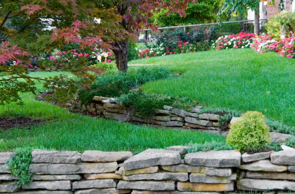 Terraced Garden Design