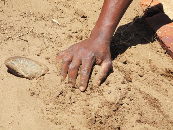 Sandy Soil Delivery