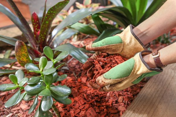 Cedar Mulch Installation in South Jordan