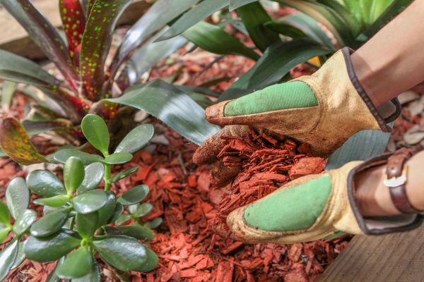 Residential Mulching Service