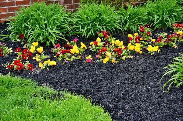 Apartment Mulching in South Jordan